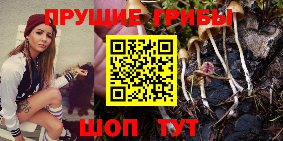 Лысьва  Псилоцибиновые грибы MAGIC MUSHROOMS  Псилоцибиновые грибы Cubensis  Вход с VPN 